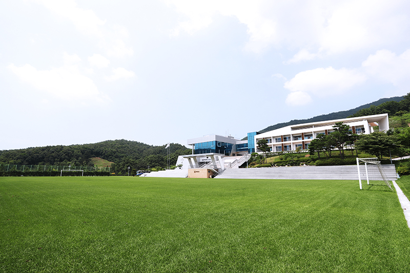 Soccer Field images